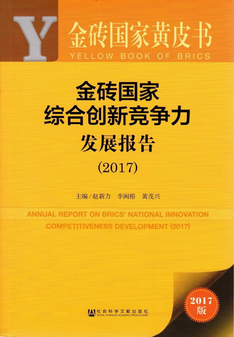 嗯啊,不要舔了,喷水了,金砖国家综合创新竞争力发展报告（2017）